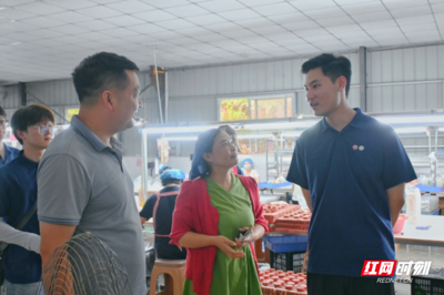 合拍的00后·三下乡 | 岩园村的“玩具经纬” 一针一线，织就乡村振兴的温暖图景